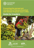 Prevención de la propagación y la introducción de la marchitez del banano por Fusarium Raza 4 tropical (R4T)